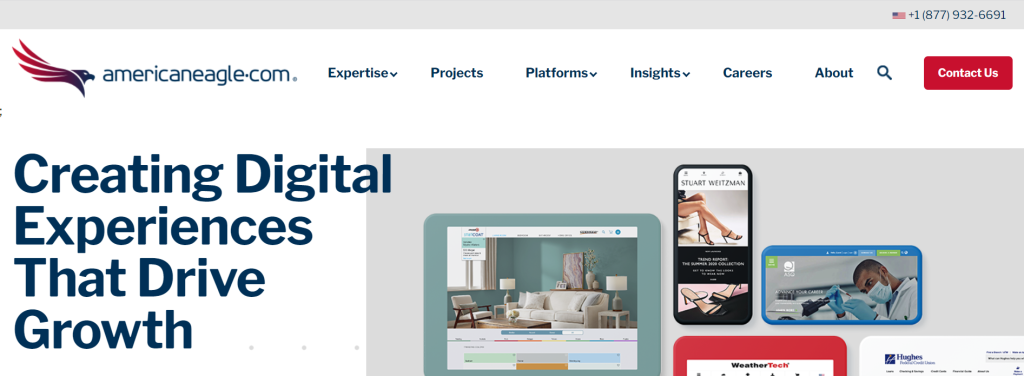 Americaneagle.com, Inc. - Web Design and Development Company in Chicago, IL 