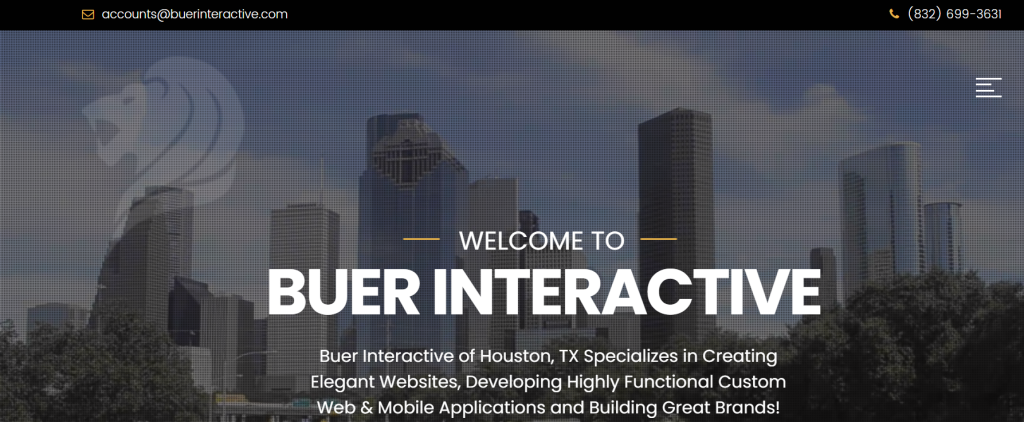 Buer Interactive