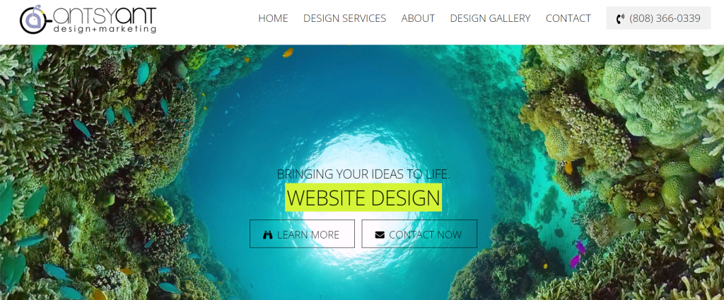 Antsy Ant Web Design